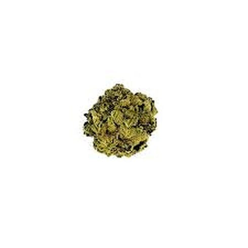 Tier 4 - Angelica