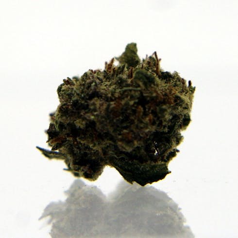 Pineapple Black - Eighth (3.5g)