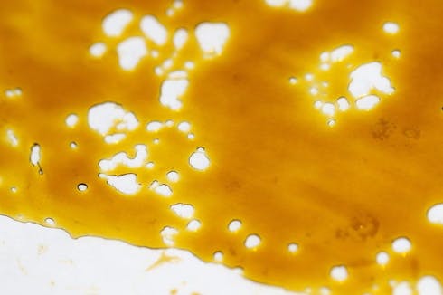 Creamsicle Live Resin