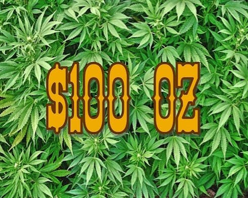 $100oz Dream Lotus