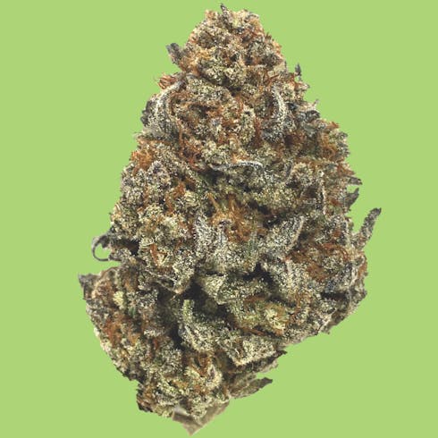 Royal Highness