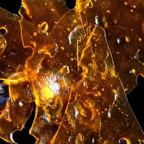 Garlicane (Shatter)