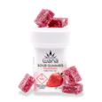 Sour Gummies - Strawberry - 10:1 CBD:THC