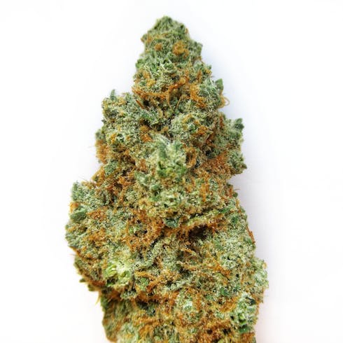 Mystery Machine by Big Beard Farms