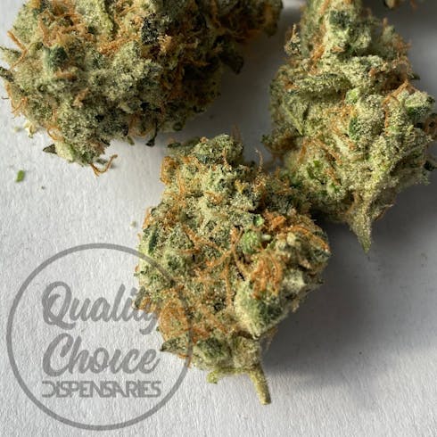 GMO #2