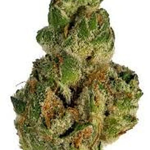 17 FARMS GMO