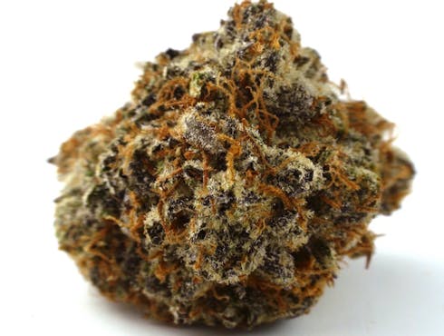 Zookies by Remedies