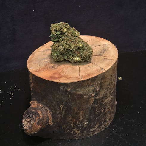 Sun grown: Morning Star by Sunna Ra Acres