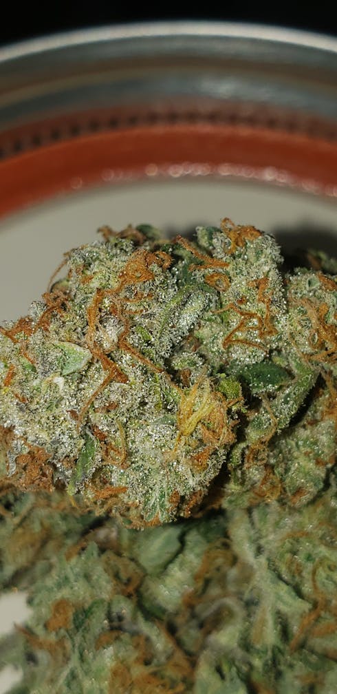 Agent Orange