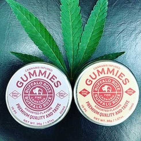 10 pack of Gummies 10mg each