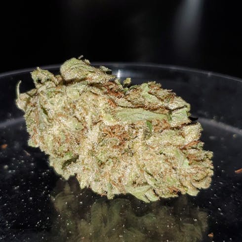 REC 21+ Guptilla Kush (I)