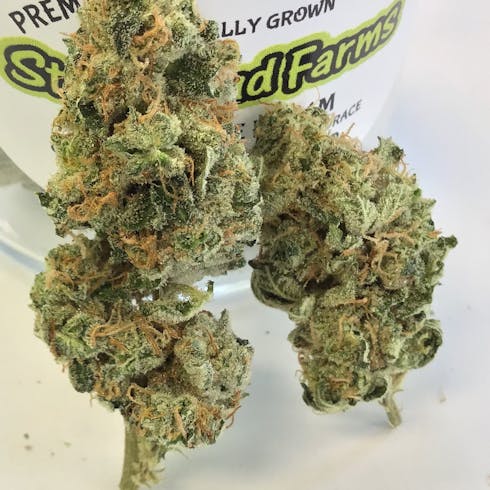 Tangerine Dream