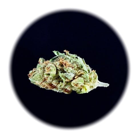 Jack Herer