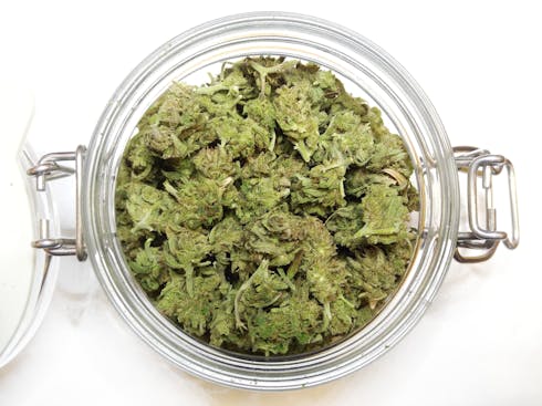 Agent Orange Economy by Hill Ventures Farms