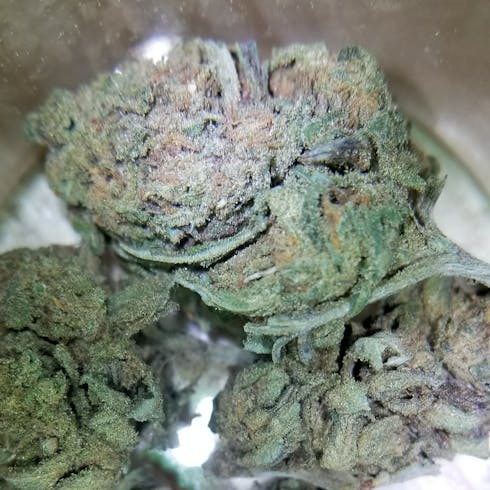 SEQUOIA STRAWBERRY