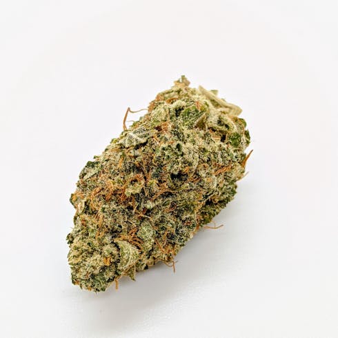 King Louie Xlll (I)