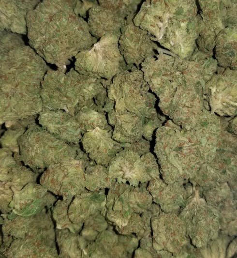 Super Sour Diesel