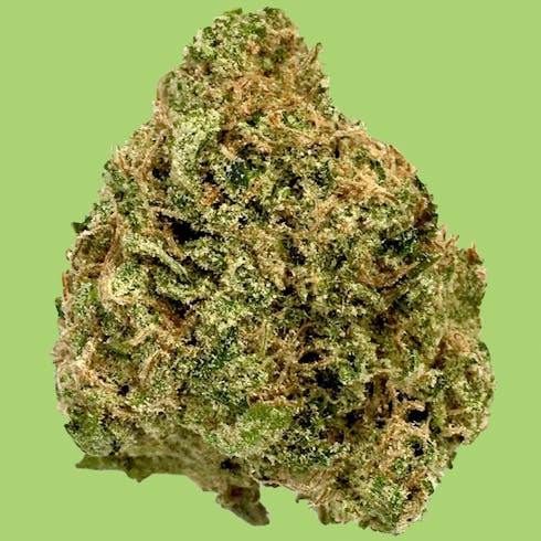 Golden Goat