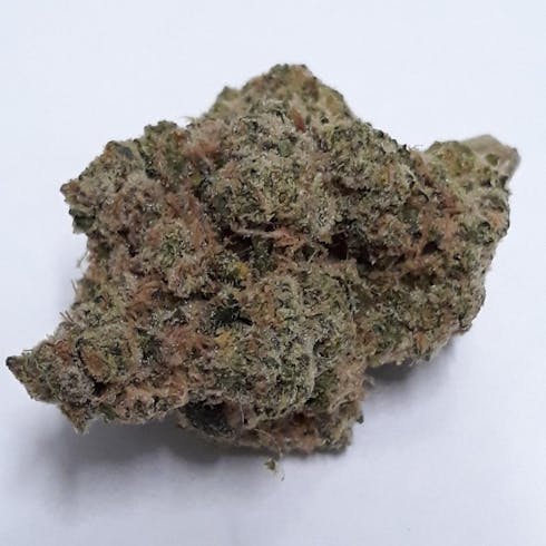 Matrix (33.10%THC) Amplified Farms