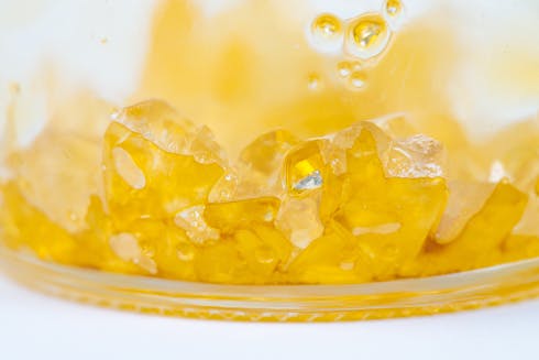 Canamo Cured THCA - Tropical Gelato 1g