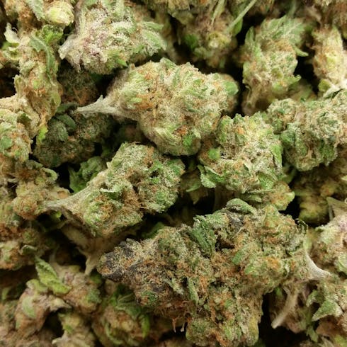 Blue Magoo Cookies (TAX INCLUDED)