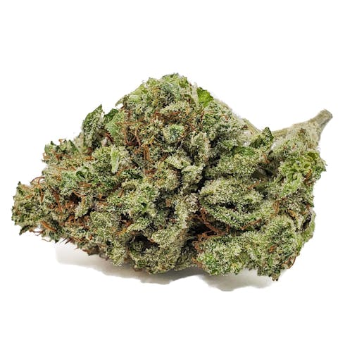 Guava