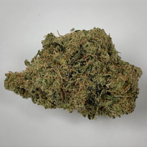 TJ'S DURBAN POISON