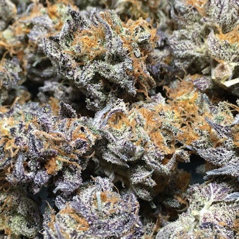 Sweet Zkittles by Maine Grown