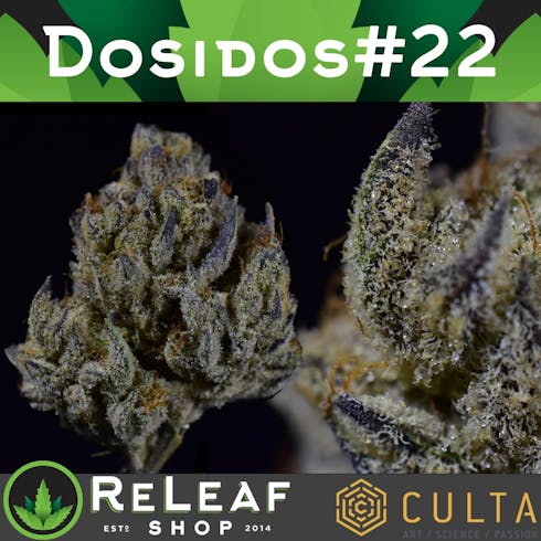 Dosidos #22-16