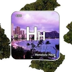 Honolulu Haze