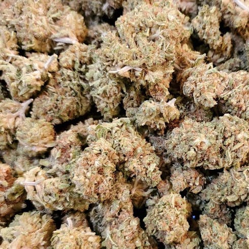 Royal Highness