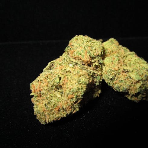 Forbidden Fruit