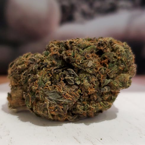 Cannatonic by Curio