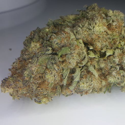 Purple punch
