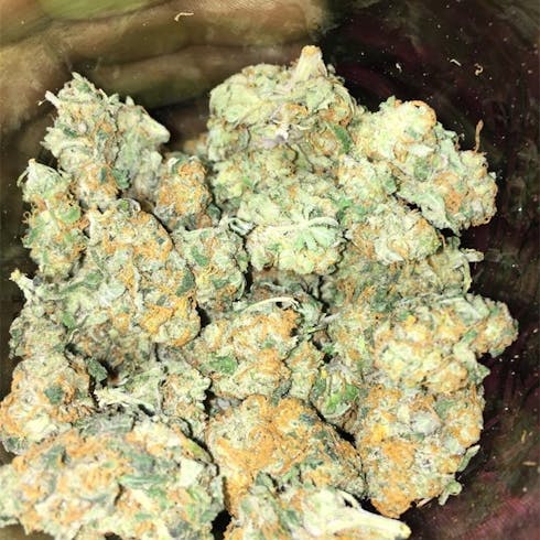 CBD Medihaze 1/8th