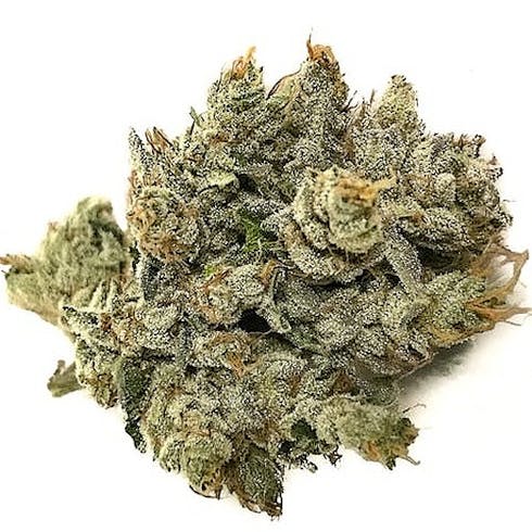 Crescent Cannabis - 707 Headband