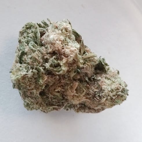 Premium: Skywalker Cheese