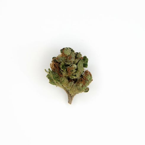 $25 1/8ths: Chile Verde by Loyal Flower