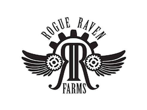 G-13 (Rogue Raven)