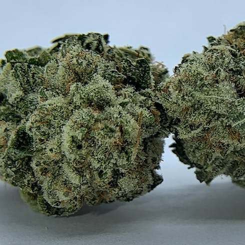 Original Glue (f.k.a. GG4)