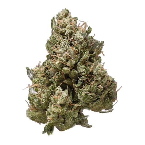 Exodus Cheese 3.5g