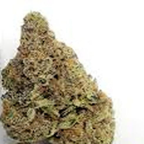 REC: Mimosa - Phantom Farms