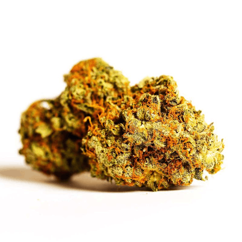 BASELINE TIER - PURPLE ORANGE