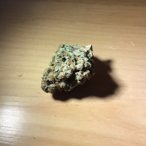 Critical Kush