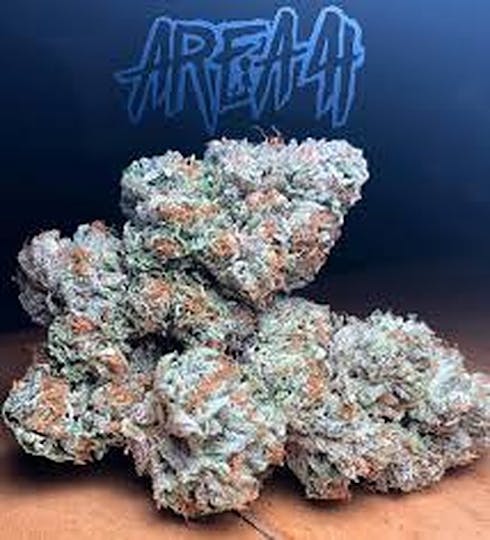 Area 41 by Alien Labs