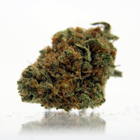 Bubblegum - Gram (1.0g) - Platinum