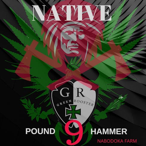 9LB Hammer