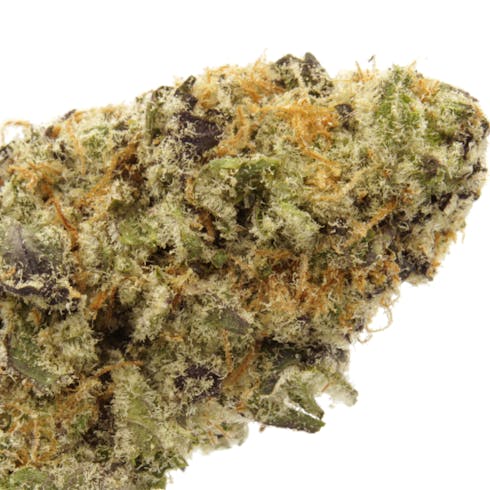 TANG BREATH | STARDUST CULTIVATION