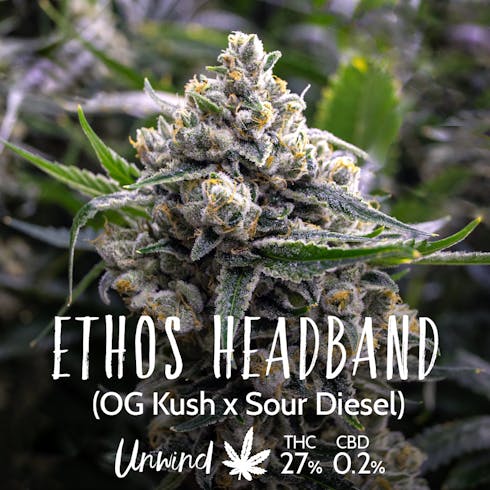 Headband (Recreational)