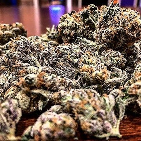 Blackberry Fire